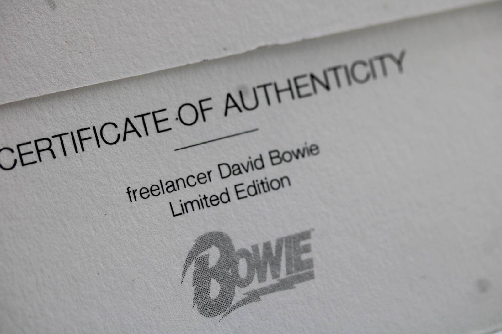 Freelancer David Bowie - Image 11
