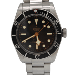 Black Bay 79230N 2017